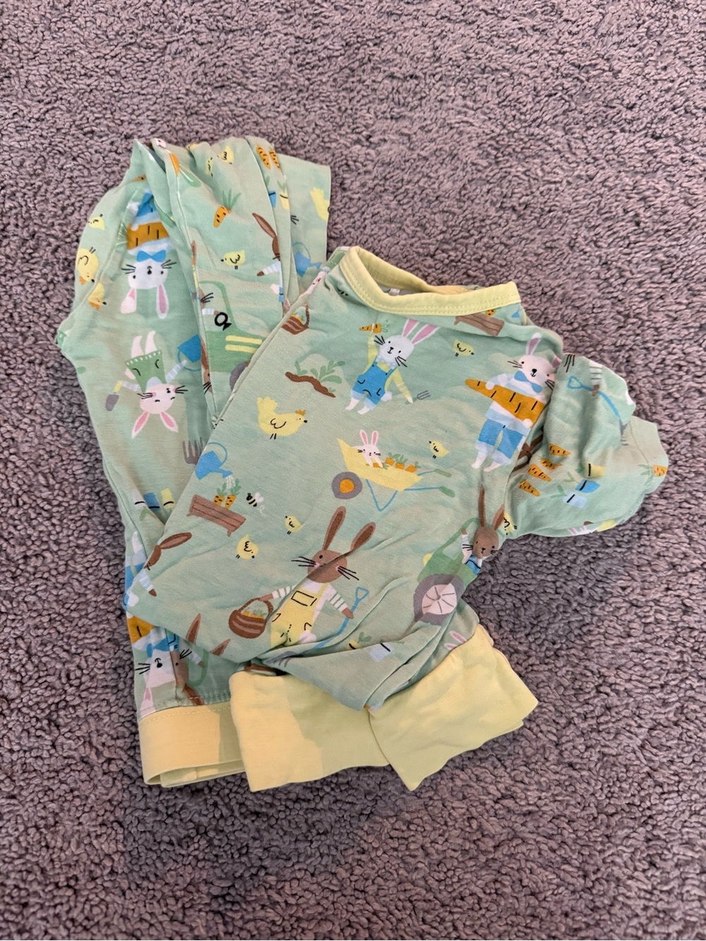 Little Sleepies Mint Green Bunny & Chick Farm Pajama Set